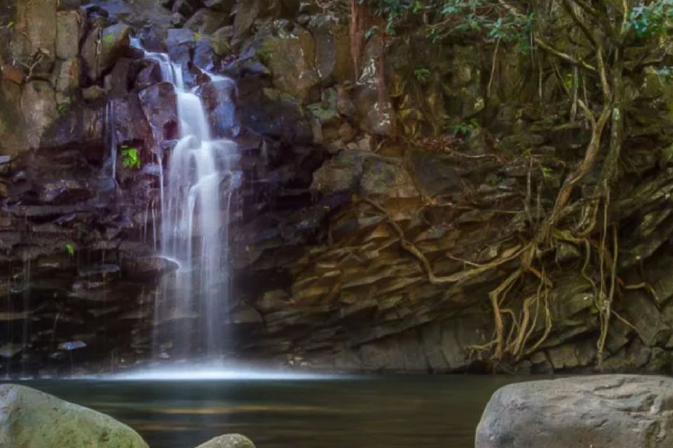 Kahului: Guided Rainforest and Waterfall Walk - Safety Precautions