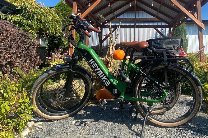 Kelowna E-Bike Bee Tour With Tastings, Lunch & Audio Guide - E-Bike Features and Safety