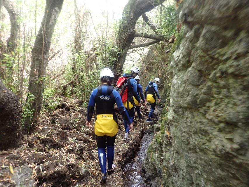 Las Palmas, Gran Canaria: Canyoning Adventure - Safety Guidelines