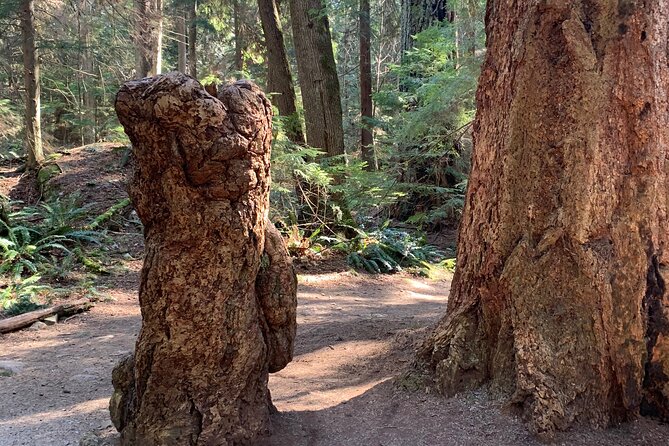 Lighthouse Park Hike - Safety Considerations