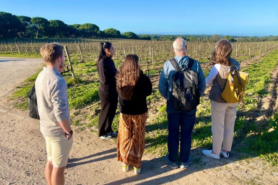 Lisbon: Private Setubal & Arrabida Wine Tour With Lunch - Winery Visits and Tastings