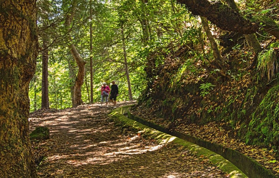 Madeira: Santana Jeep Safari and Levada Tour - Booking Options