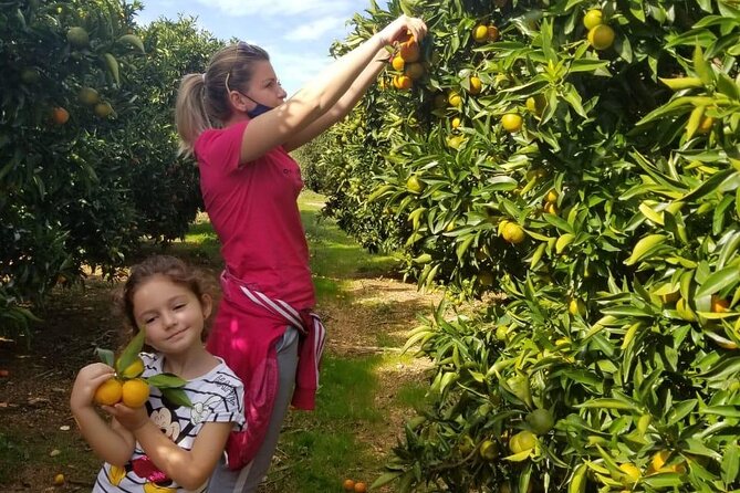 Mandarina Farming Tour With Food and Drink Tasting in Albania - Tasting of Local Dishes