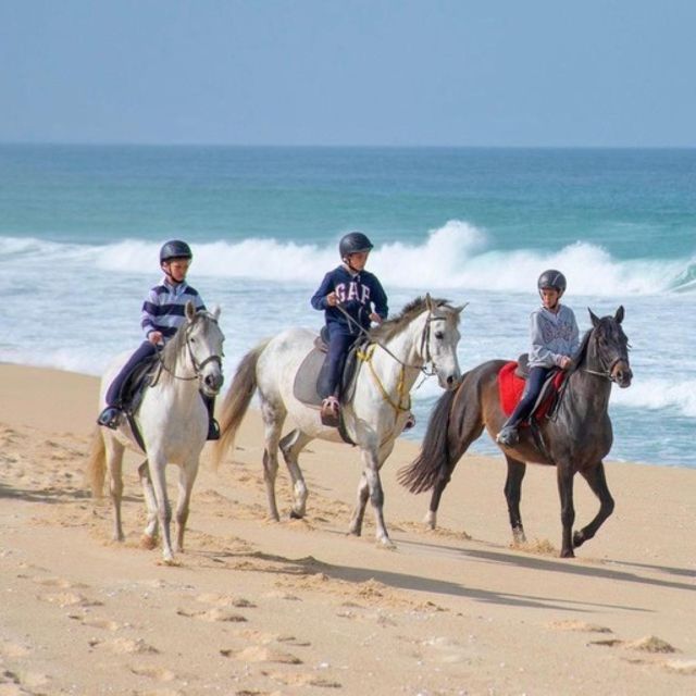 Melides: Horseback Riding on Melides Beach - What to Expect on the Ride