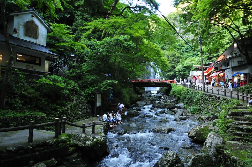 Minoo Park Guided Nature Walk Review - What to Expect