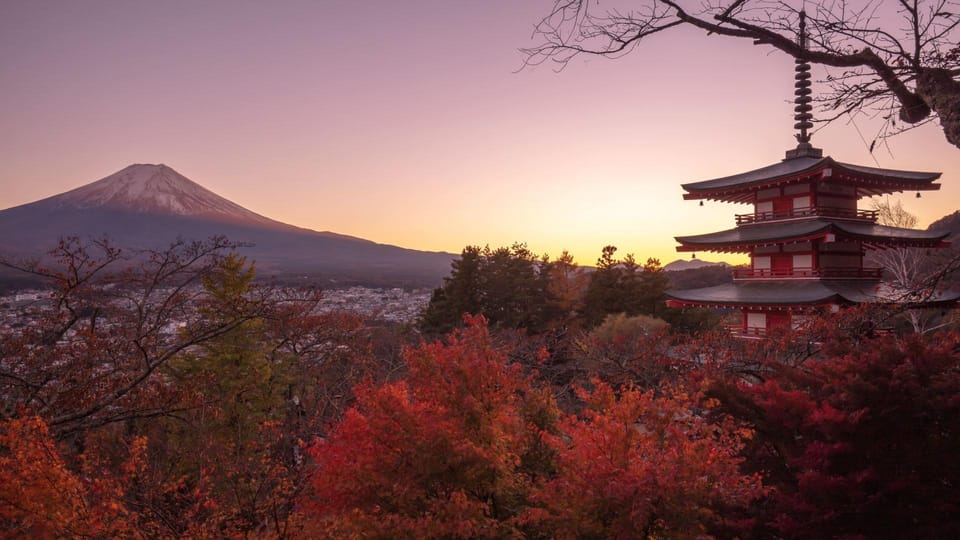 Mount Fuji 1-Day Trip: the Hottest Photography Tour - Inclusions and Amenities