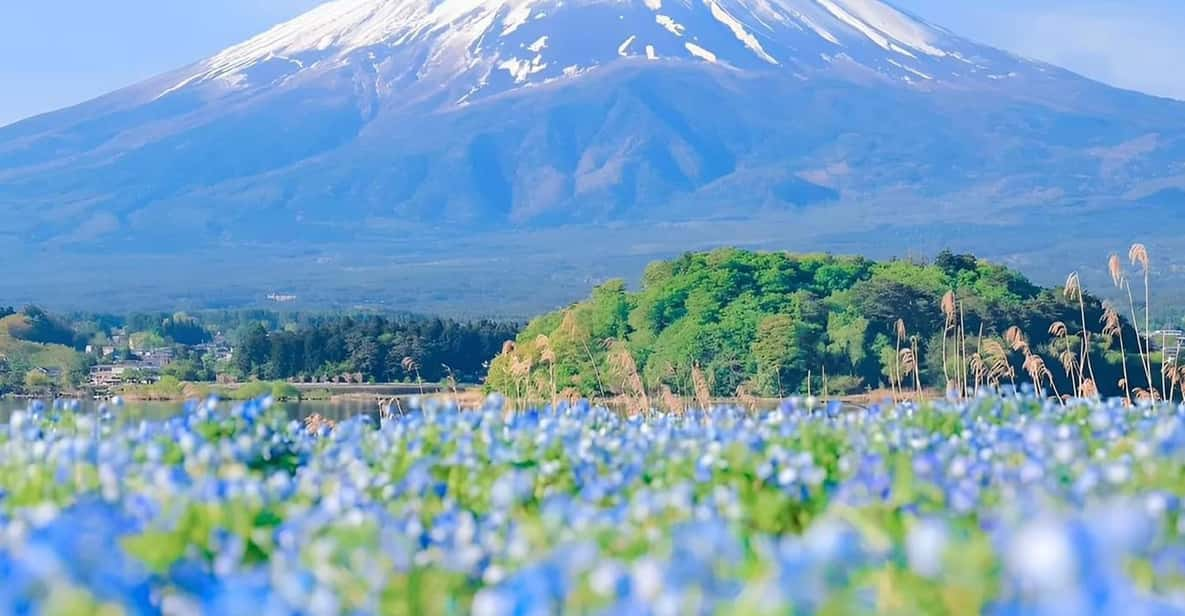 Mount Fuji,Hakone Private Tour by Car With Pick up - Customization Options