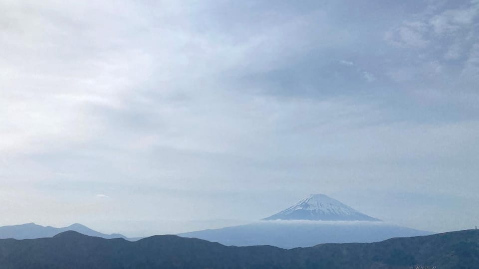 Mt Fuji: Full Day Private Tour From Tokyo by Luxury Vehicle - Logistical Details and Inclusions