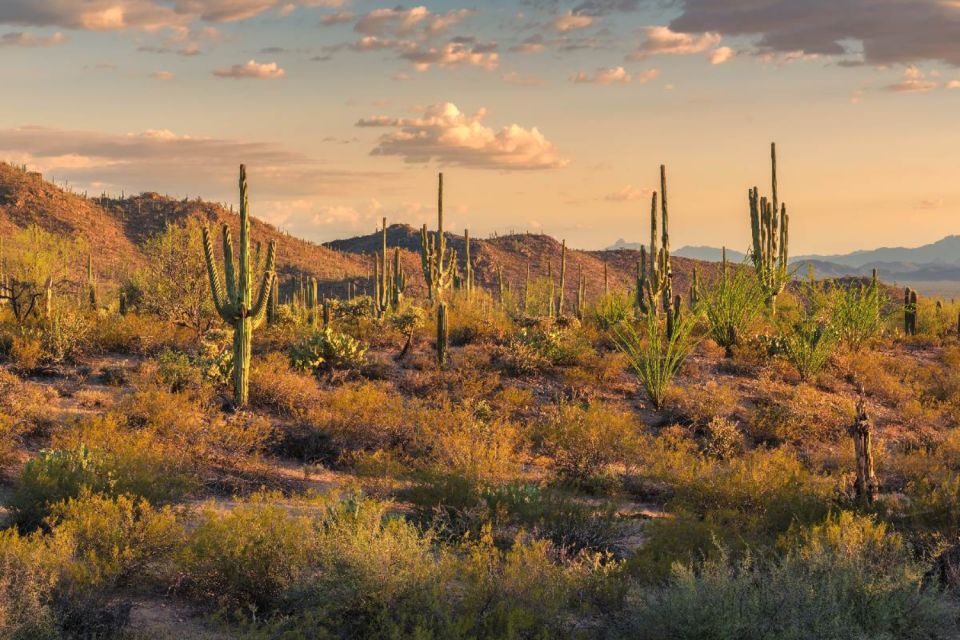 Mt. Lemmon Scenic Byway Self-Guided Audio Tour - Tour Details and Inclusions