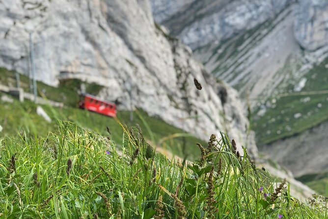 Mt. Pilatus With Lake of Lucerne Cruise Private Tour From Lucerne - Personalized Insights From Guide