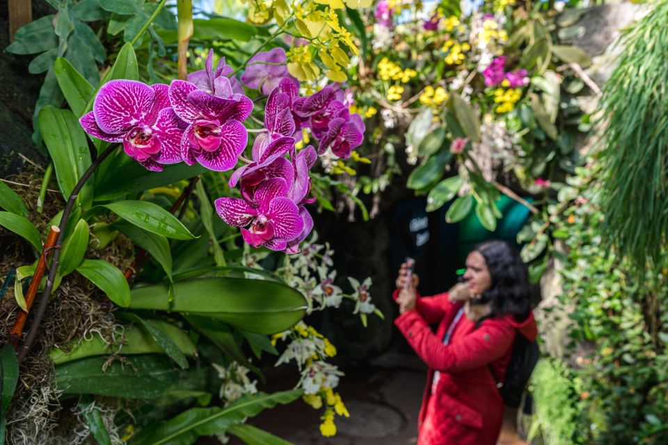 Nyc: New York Botanical All-Garden Pass Entry Ticket - Exploring the Specialty Gardens