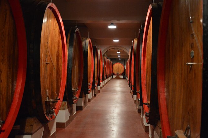 Pagus Wine Tours® - Soave and Amarone - Half Day Wine Tour - Additional Tour Information