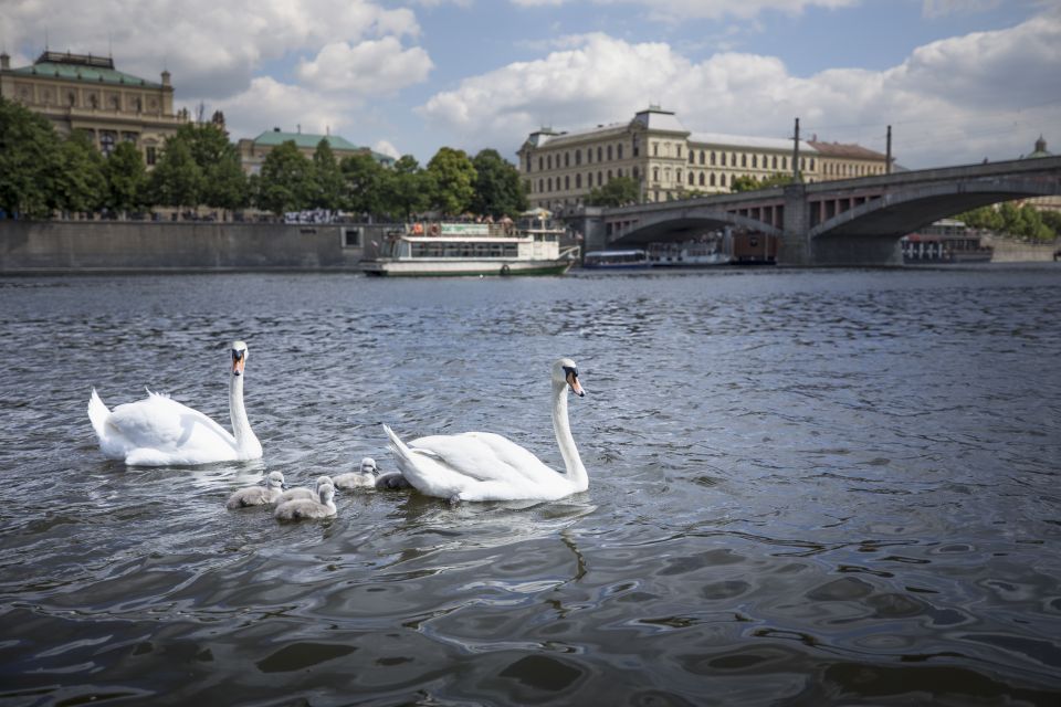 Prague: 3–Hour Castle Grounds Walking Tour and River Cruise - Getting to the Starting Point