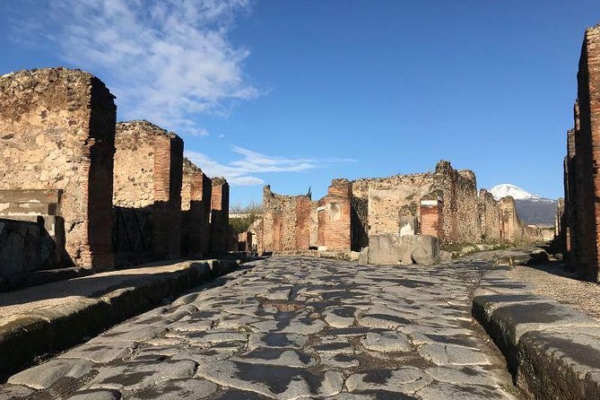 Private Guided Tour. Experience the Everyday Life of the Eternal Town of Pompeii - Knowledgeable and Engaging Guide