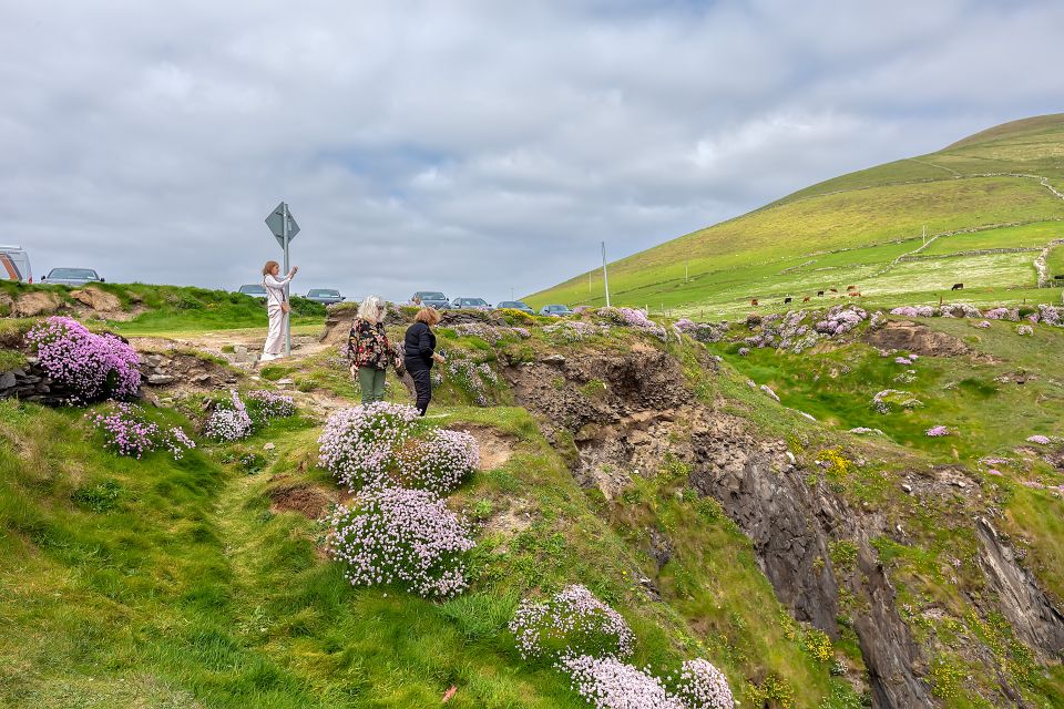 Private Luxury Full-Day Ring of Kerry Tour From Killarney - Included Amenities