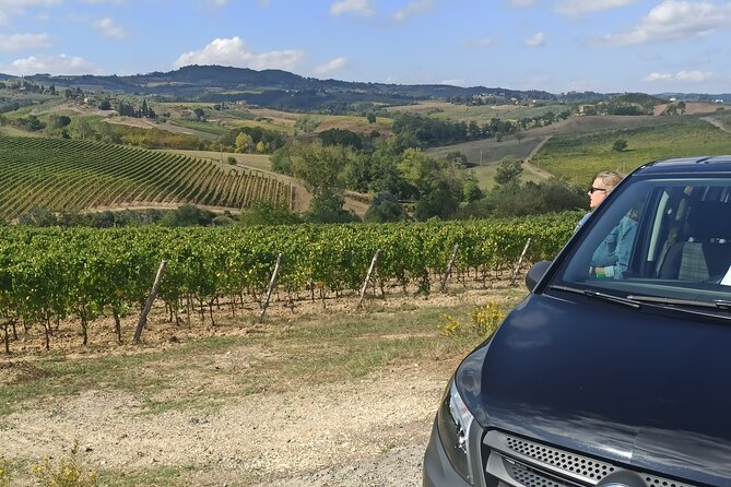 PRIVATE Tour: Chianti Afternoon TOUR With Visit to 2 Wine Farms - Exclusive Wine Tastings