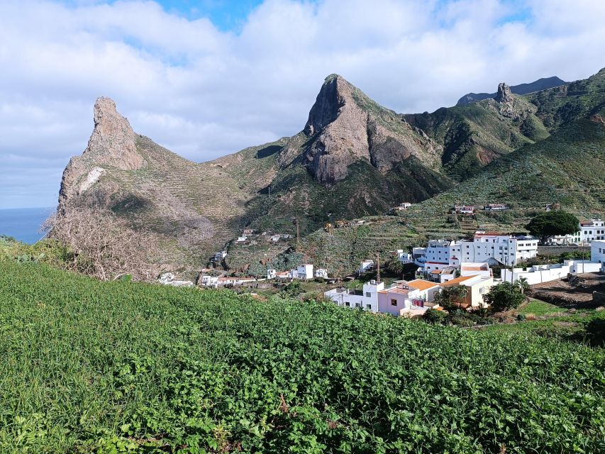 Puerto De La Cruz: Avatar Forest - Taganana - Teresitas + Cocktail - Inclusions and Requirements