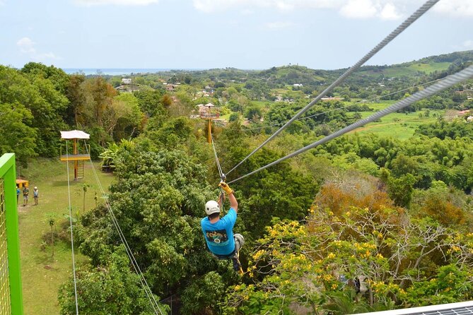 Rainforest Zipline in Foothills of the National Rainforest - Ratings and Recognition