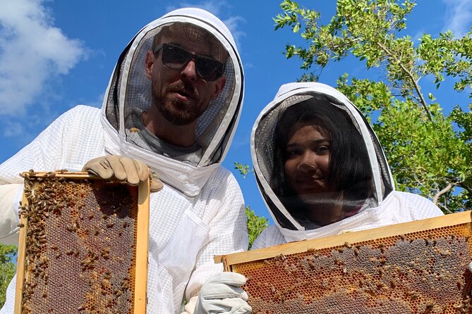 Reagan's Honey Beekeeping Adventure - Apiary Activities