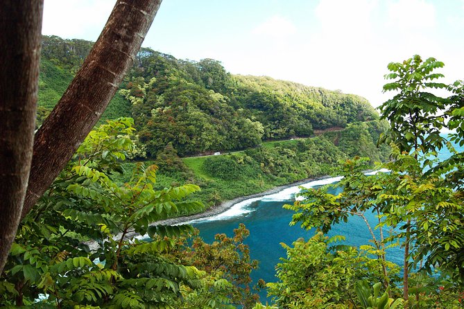 Road to Hana Tour With Lunch and Pickup - Small-Group Experience