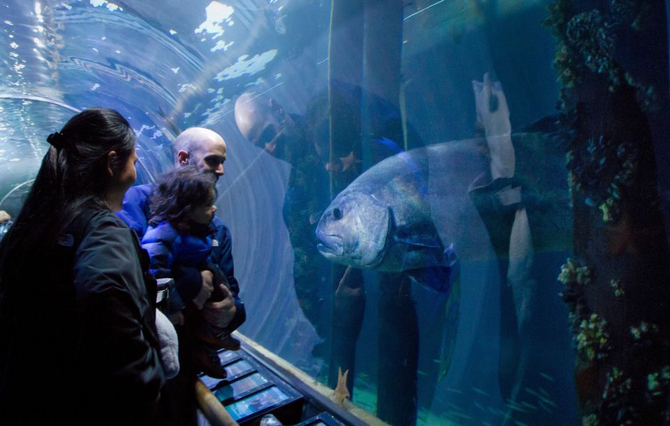 San Francisco: Aquarium of the Bay General Admission Ticket - Accessibility and Duration