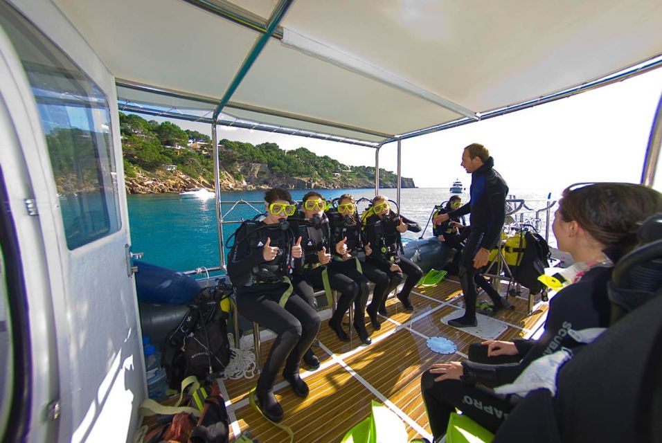 Santa Ponsa: Try Scuba Diving in a Marine Reserve - Location and Access