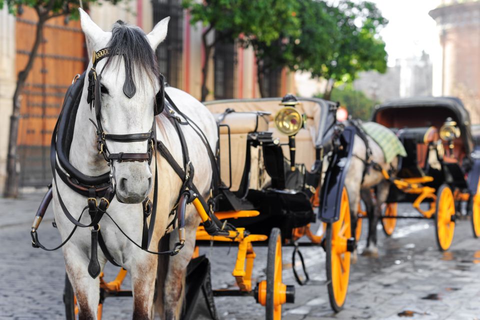 Seville: Authentic and Romantic Horse-Drawn Carriage Ride - Important Information