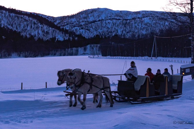 Sleigh Ride W/ Snacks - Experience Arctic Farm Life - Savoring Norwegian Culinary Delights