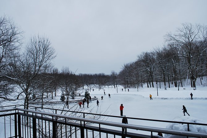 Small-Group Sightseeing Tour of Montreal - Guided Exploration