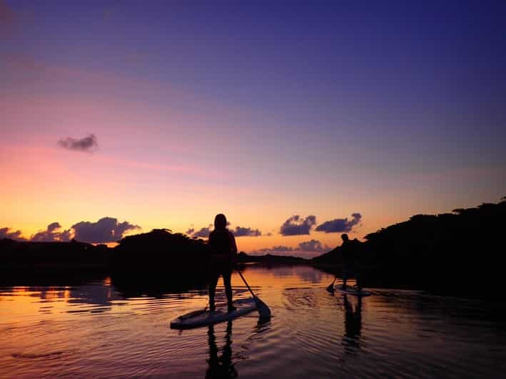 Stand Up Paddleboard: Amazing Sunrise at Mangrove River - Safety Considerations