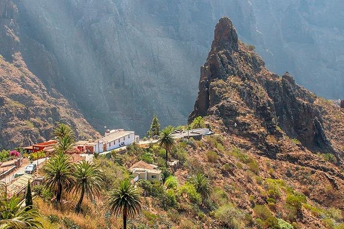 Tenerife Highlights Full-Day Tour - Confirmation and Traveler Capacity