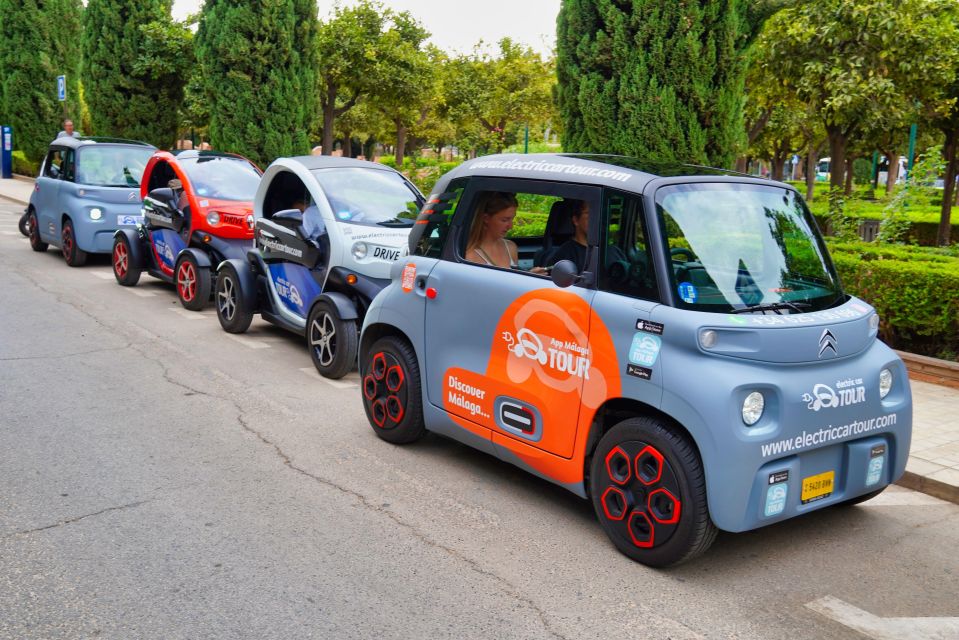 The Best of Malaga in 2 Hours by Electric Car - Sustainable Travel in Malaga