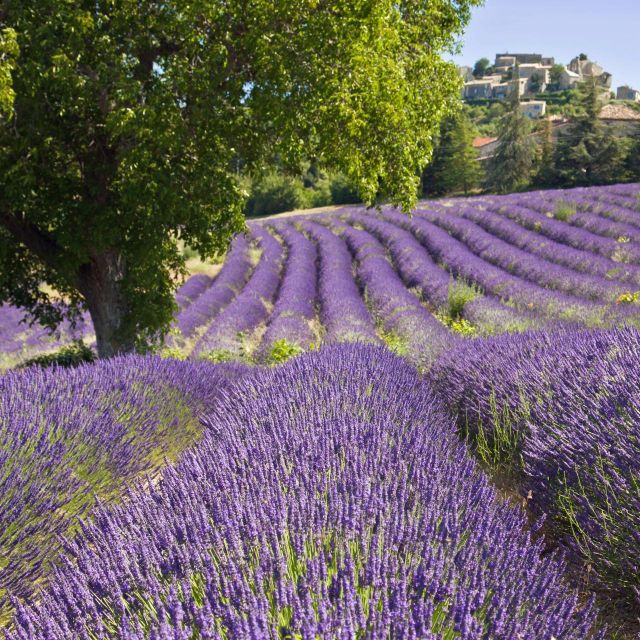 The Gorges Du Verdon & Its Lake Full Day Tour - Inclusions and Pricing Information