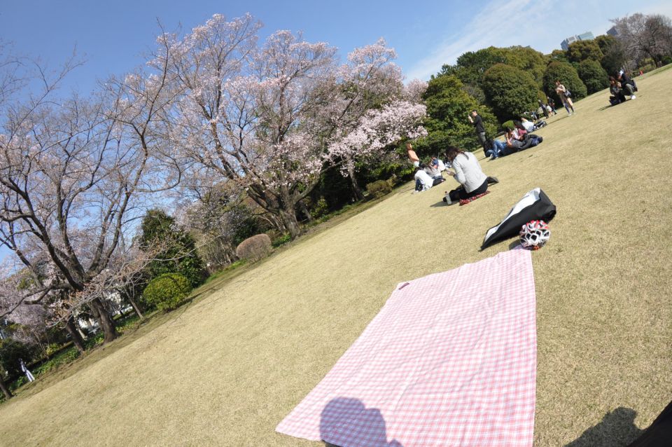 Tokyo: Private Cycling Tour With Cute E-Bike - Pricing and Cancellation