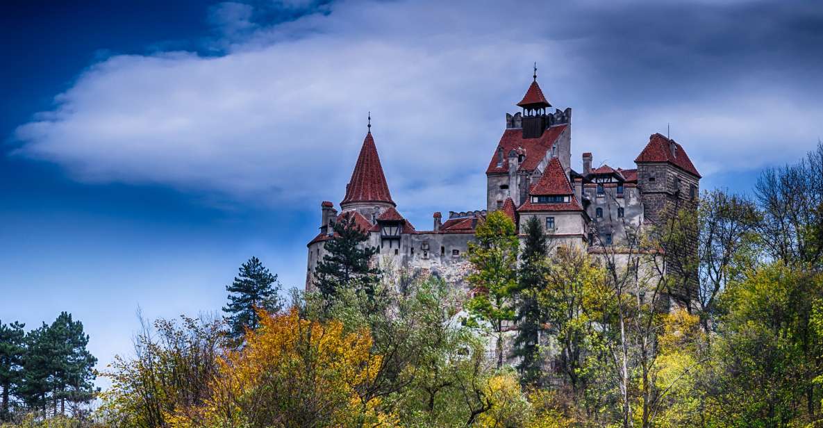 Transylvanias Trail: Sibiu, Bran Castle, Brasov, Sighisoara - Customer Feedback and Restrictions