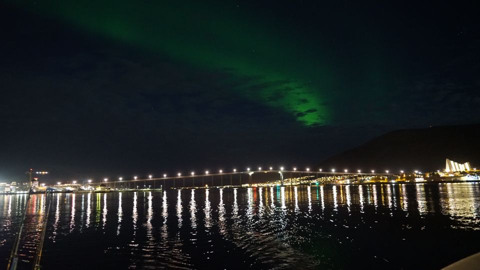 Tromsø: Northern Lights Luxury Catamaran Cruise - The Magic of the Northern Lights