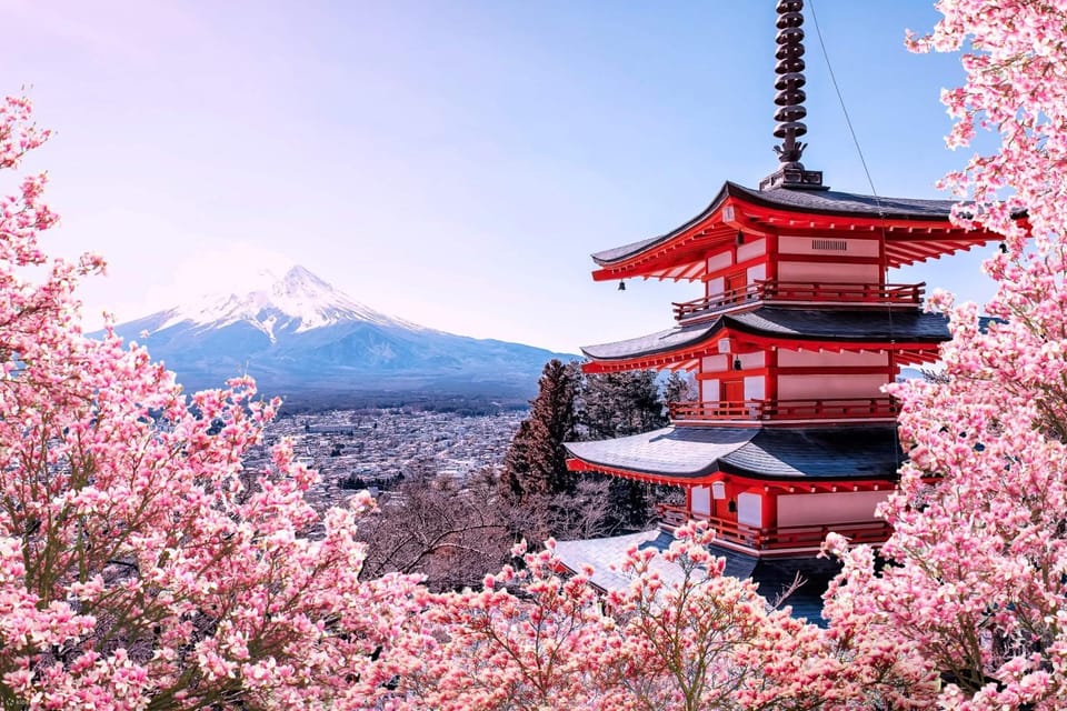 4-Days Private Tour MT Fuji,Nikko,Hakone,And Tokyo - Experience and Attractions