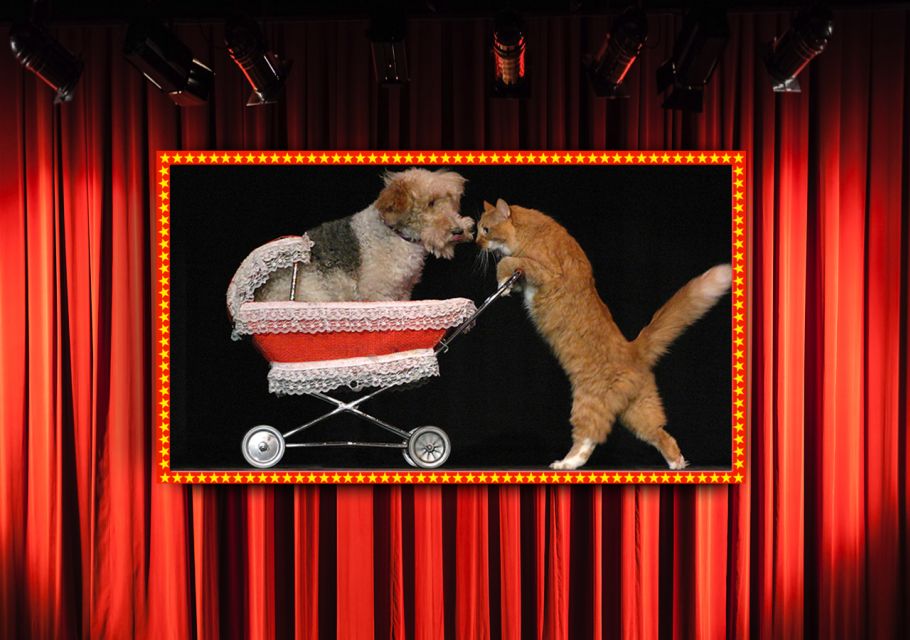 75-Minute Popovich Comedy Pet Theater in Las Vegas - Popularity and Acclaim