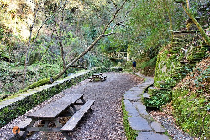 A Tour Between the Cascades and Schist Villages, Piodão - Knowledgeable Guide and Dining