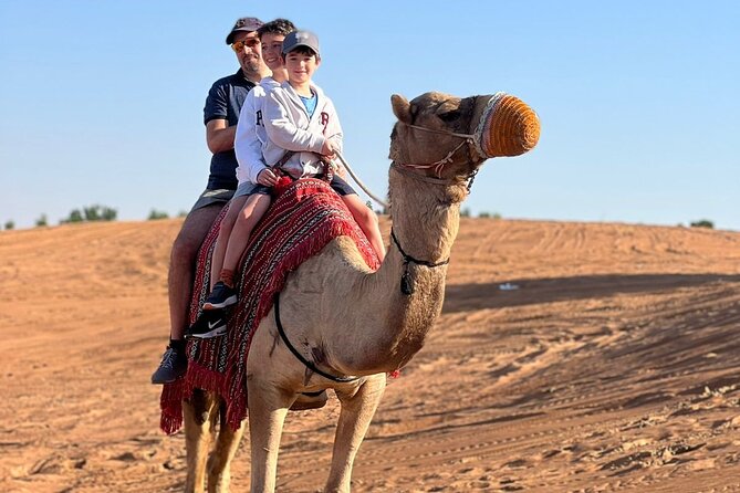 Abu Dhabi Morning Desert Safari - Private Car - Pricing and Group Information