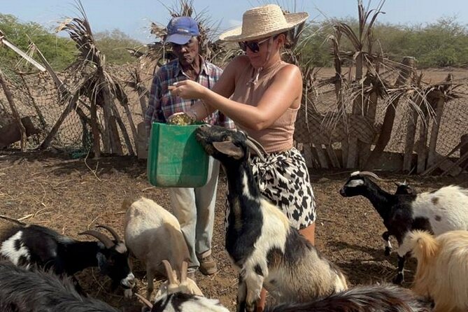 ALL-INCLUSSIVE Cabrer Journey-Live a Day Like a Cabrer-Boavista - Family Farm Visits