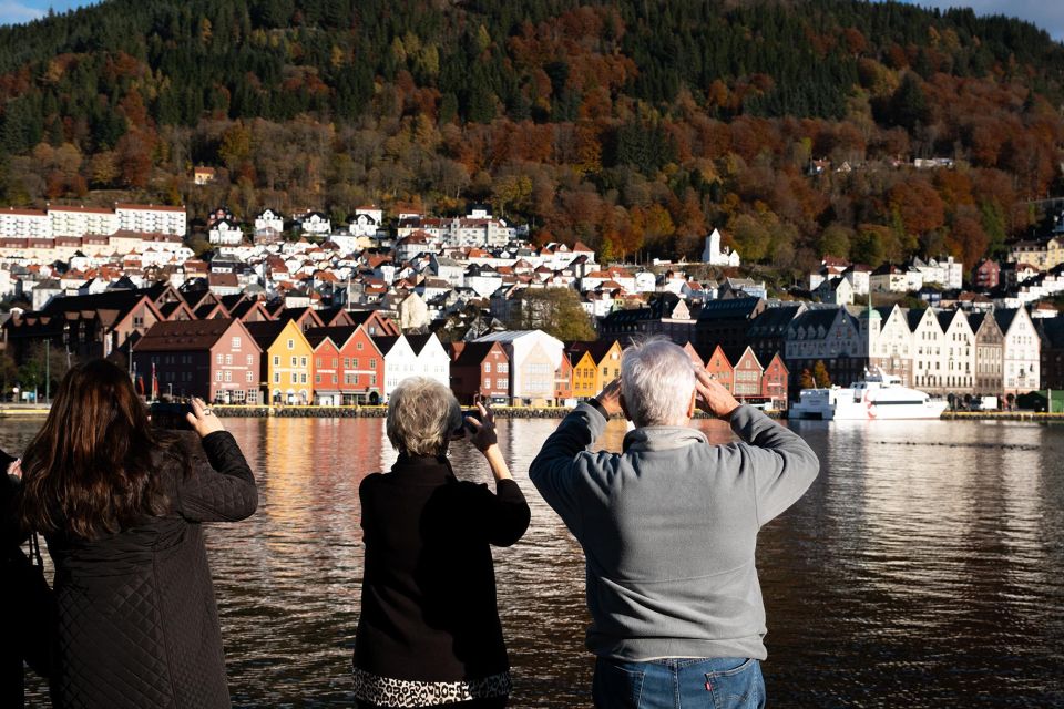 Bergen: Guided Minibus Tour With Photo Stops & Bryggen Tour - Scenic Viewpoints and Photo Stops