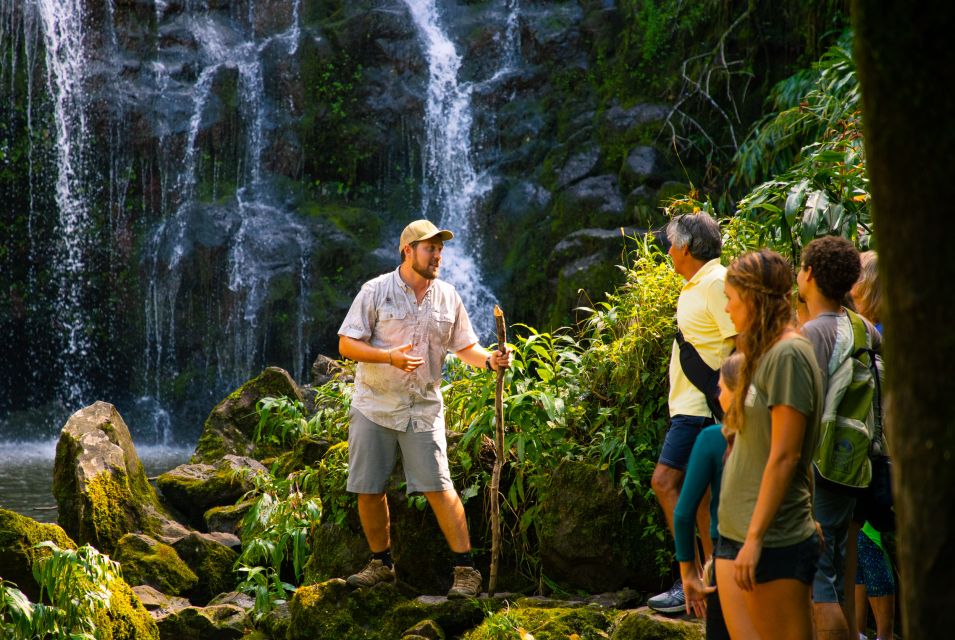 Big Island: Full Day Adventure Tour of the Kohala Waterfalls - Frequently Asked Questions