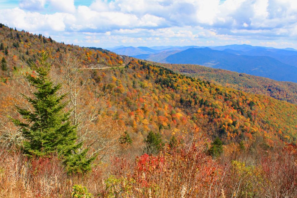 Blue Ridge Parkway: Cherokee to Asheville Driving App Tour - How to Experience