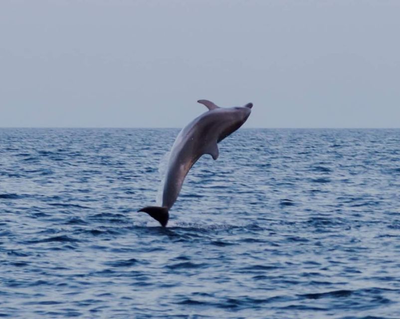 Brijuni Islands: Sunset & Dolphins Private Boat Tour - Sunset and Dolphin Sightings