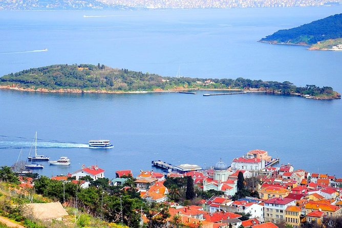 Buyukada Princes' Island Guided Day Tour With Lunch From Istanbul - Tour Logistics