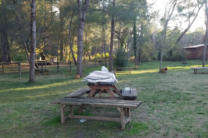 Day Tour of Berat and Karavasta Lagoon From Tirana&Durres - Preparing for the Tour