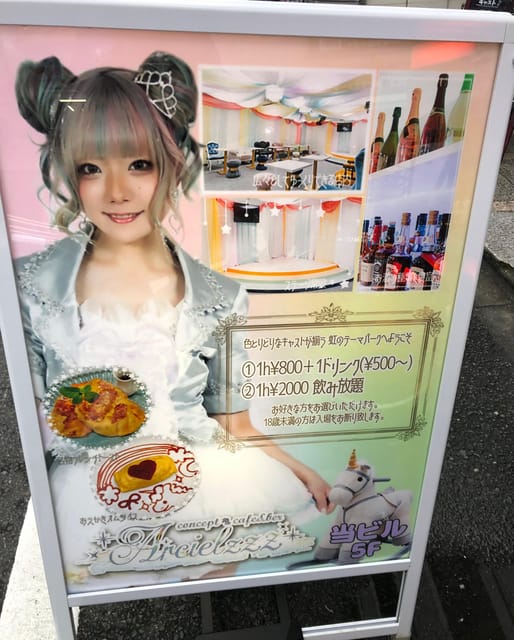 Denden Town Osaka Otaku Shopping&Maid Cafe,Photo Booth Tour♡ - Customizable Tour Options