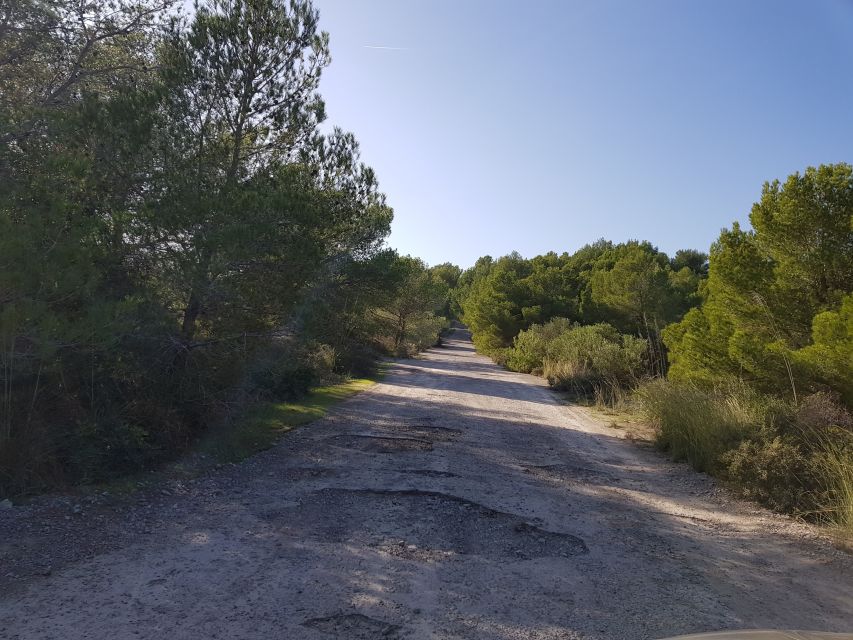 From Cala Millor/Sa Coma: Half-Day Mini Jeep Tour - Discover Mallorcas Beauty