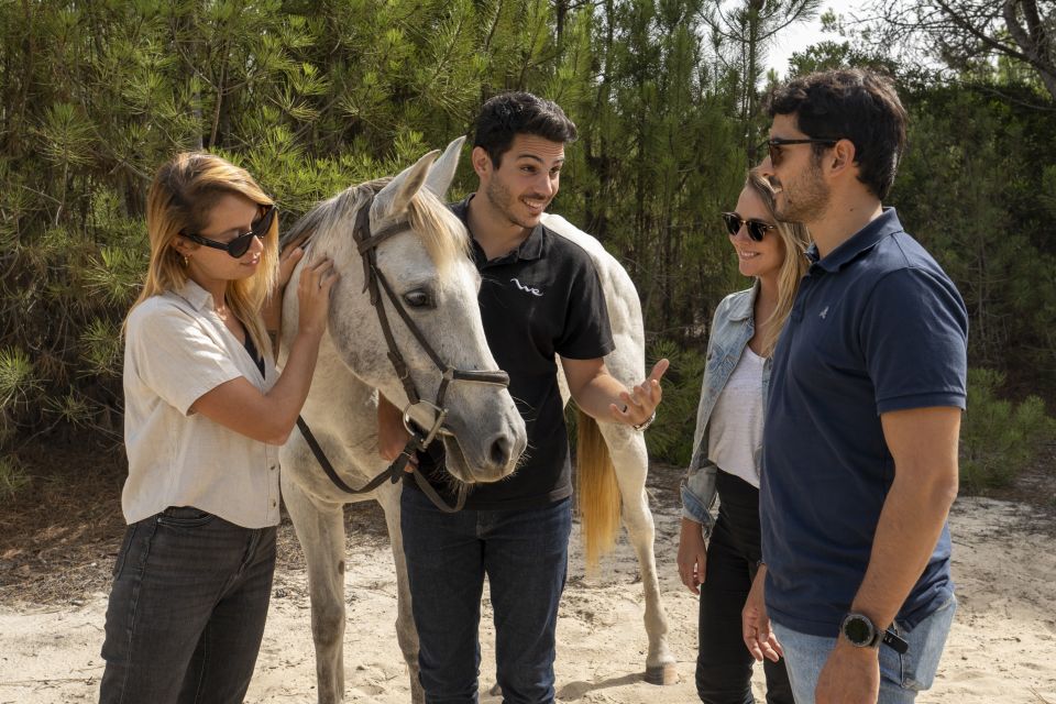 From Lisbon: Comporta and Setúbal Trip With Horseback Riding - Important Information and Restrictions